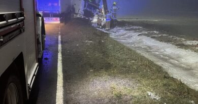Ciężarówka uderzyła w drzewo